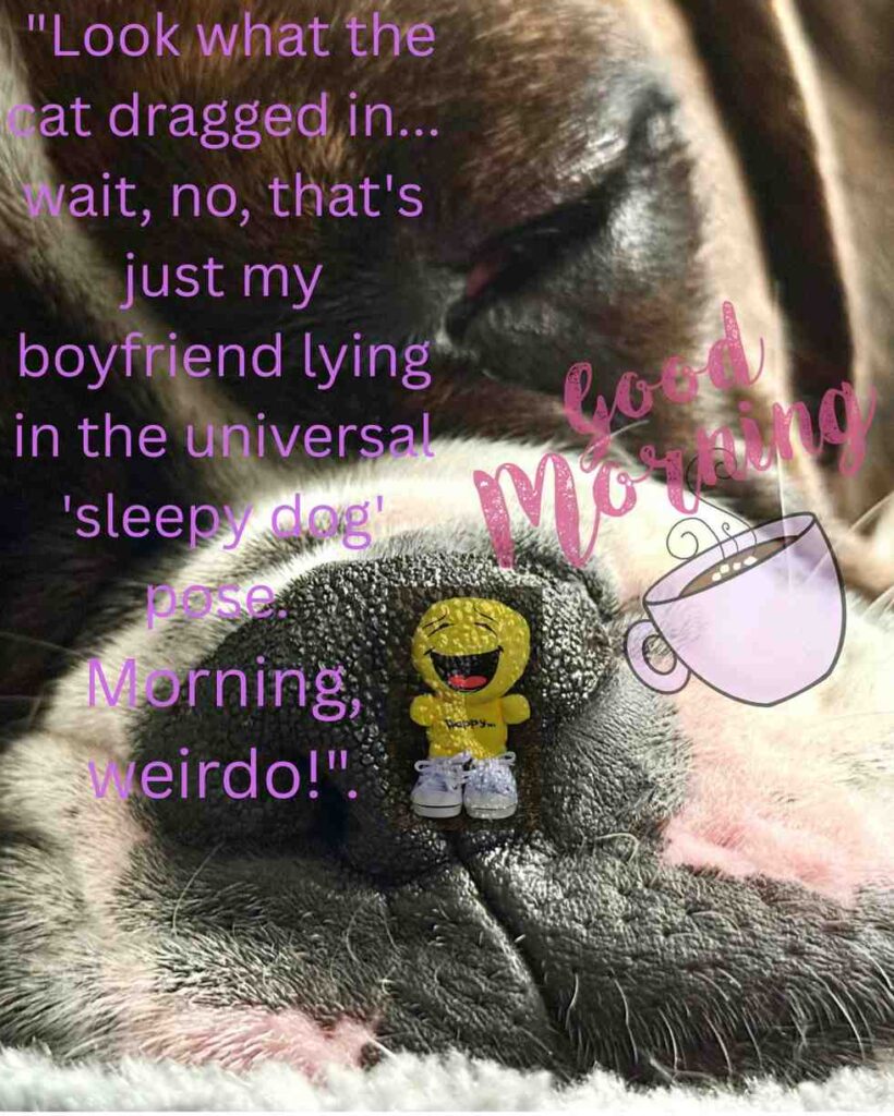 Funny Good Morning Messages & Pictures 1 image with funny good morning text for him(husband or boyfriend)