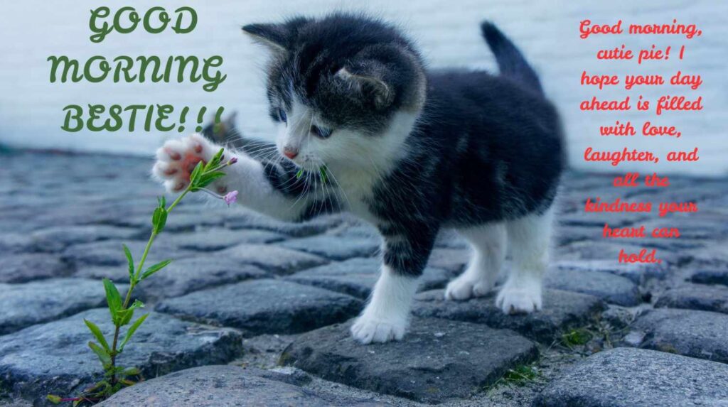 Good Morning Messages For Friends 5 good morning message for female friend